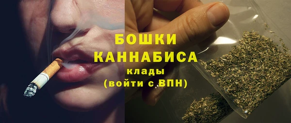 индика Бородино
