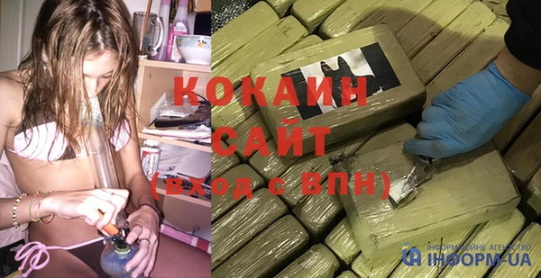 прущие грибы Новодвинск