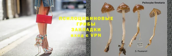 герыч Бронницы