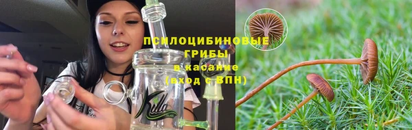 амф Верея